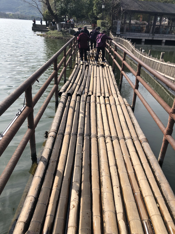 竹桥，一个老年旅行团在小心翼翼地通过